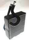 [EV-720-70985] EVCR DGE PUP 02-06 =EV-939601PFC